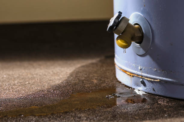 Best Water damage mitigation services  in Ashland, CA