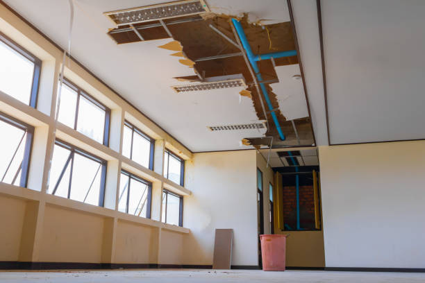 Best 24/7 water damage repair  in Ashland, CA