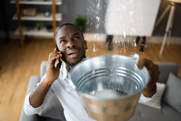 Best Ceiling water damage repair  in Ashland, CA