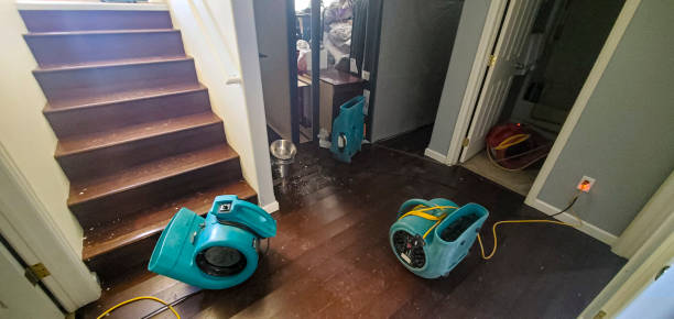 Best Professional water damage repair  in Ashland, CA