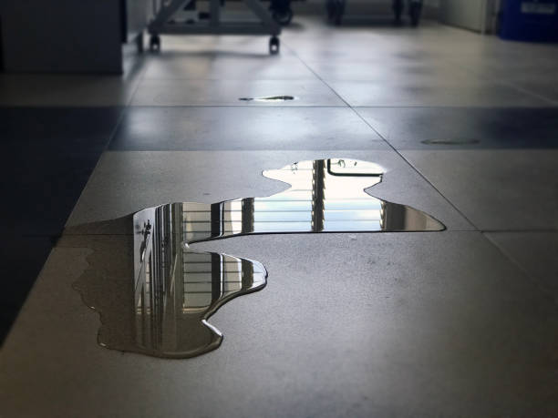 Best Flood restoration services  in Ashland, CA