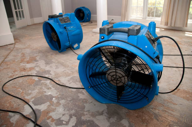 Best Water damage restoration near me  in Ashland, CA
