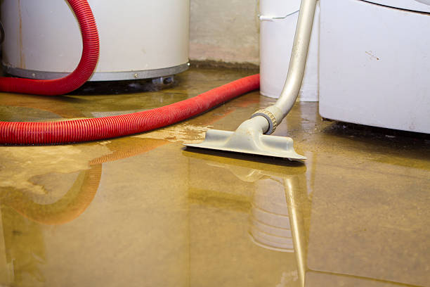 Best Sewage cleanup and water damage restoration  in Ashland, CA