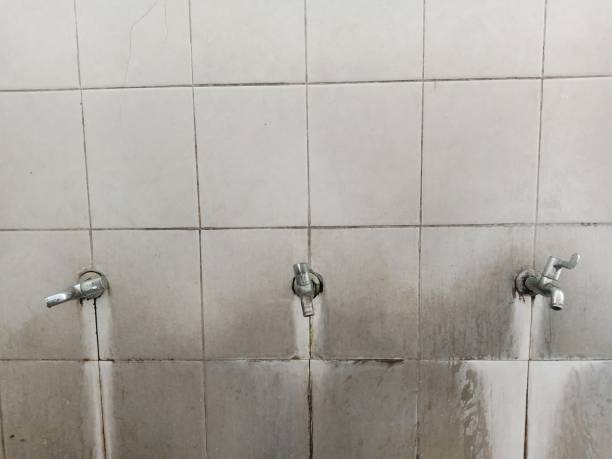 Best Water damage cleanup near me  in Ashland, CA