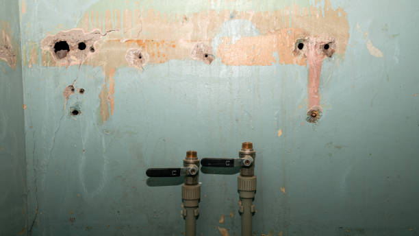 Best Ceiling water damage repair  in Ashland, CA