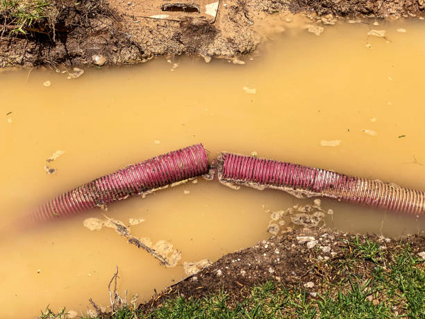 Best Flood damage cleanup  in Ashland, CA