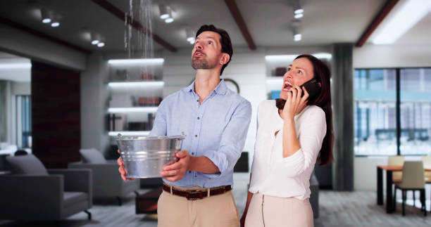 Best 24-hour water damage restoration  in Ashland, CA